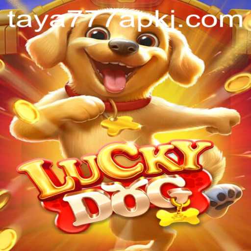 Exploring the World of LuckyDog and Taya777 APK