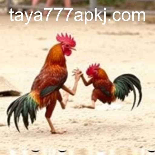 The Fascinating World of Sabong Games: An Insight Into Taya777 APK